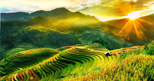 TP Hồ Chí Minh - Hà Nội - Mù Cang Chải - Điện Biên - Sơn La - Mộc Châu - TP. Hồ Chí Minh