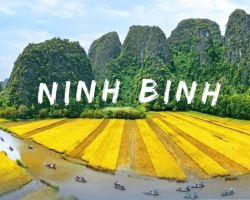 TP. HCM - LAM KINH -THÀNH NHÀ HỒ - NINH BÌNH - BẠCH ĐẰNG GIANG - HÀ NỘI - LĂNG BÁC - PHÚ THỌ - ĐỀN HÙNG - 4N3Đ