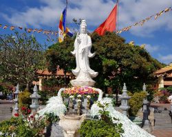 CHƯƠNG TRÌNH VỀ NGUỒN - TPHCM - CÔN ĐẢO - 3N2Đ
