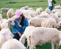TP.HCM – RỪNG PHƯỚC BỬU – KHU KHOÁNG NÓNG BÌNH CHÂU – ĐỒNG CỪU SUỐI NGHỆ