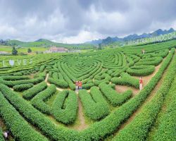 TP. HCM - ĐIỆN BIÊN - MỘC CHÂU - SƠN LA - HÀ NỘI - LĂNG BÁC - BẢO TÀNG QUÂN SỰ - TP. HCM - 5N4Đ