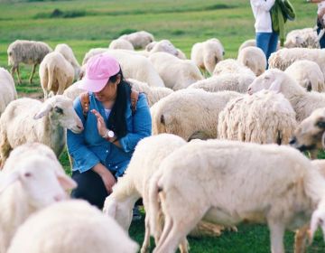 TP.HCM – RỪNG PHƯỚC BỬU – KHU KHOÁNG NÓNG BÌNH CHÂU – ĐỒNG CỪU SUỐI NGHỆ